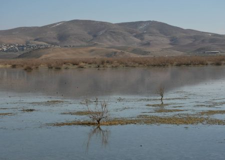 آغاز عملیات آبگیری تالاب بین‌المللی قوپی باباعلی