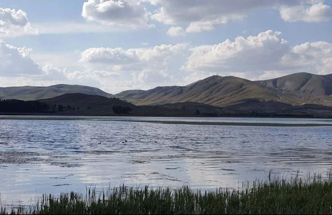 تالاب قرهگل بوکان آبگیری شد