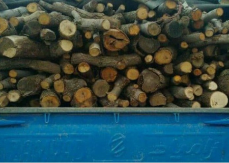 توقف فعالیت چوب‌بری غیرقانونی در حریم دریاچه ارومیه