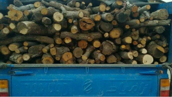 توقف فعالیت چوب‌بری غیرقانونی در حریم دریاچه ارومیه