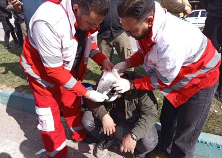  شهادت ۴۹ تن در پی تجاوزات ددمنشانه