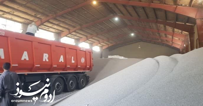 تخصیص سهمیه کود ازته به کشاورزان در آذربایجان‌غربی