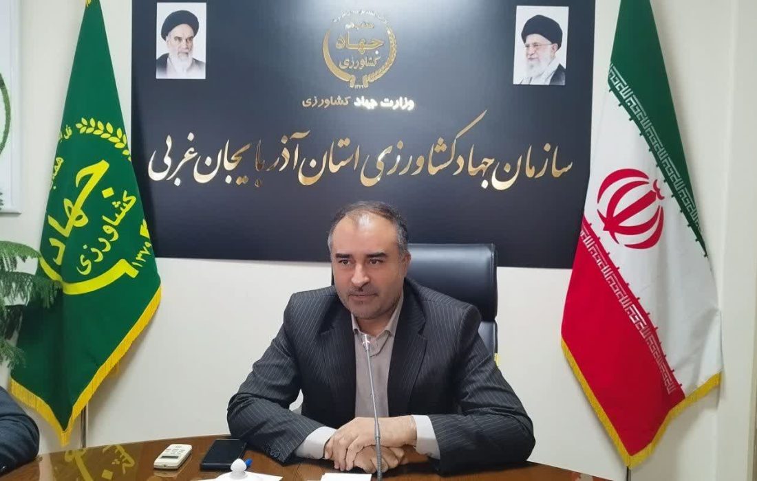 کشت گندم در ۴۰۶ هزار هکتار از اراضی آذربایجانغربی