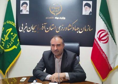کشت گندم در ۴۰۶ هزار هکتار از اراضی آذربایجان‌غربی