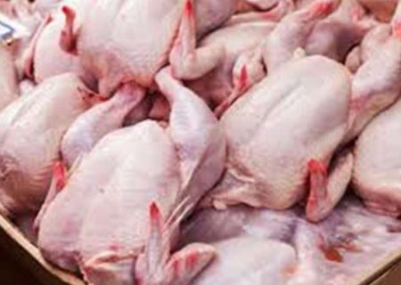 هیچ کمبودی در عرضه مرغ وجود ندارد