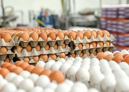 خوی قطب مهم تولید تخم‌مرغ در آذربایجان‌غربی است 