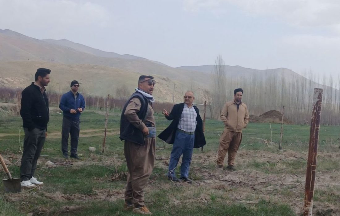 بازگشت مراتع زیولان اشنویه به منابع ملی روستا