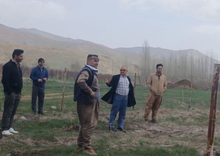 بازگشت مراتع زیولان اشنویه به منابع ملی روستا
