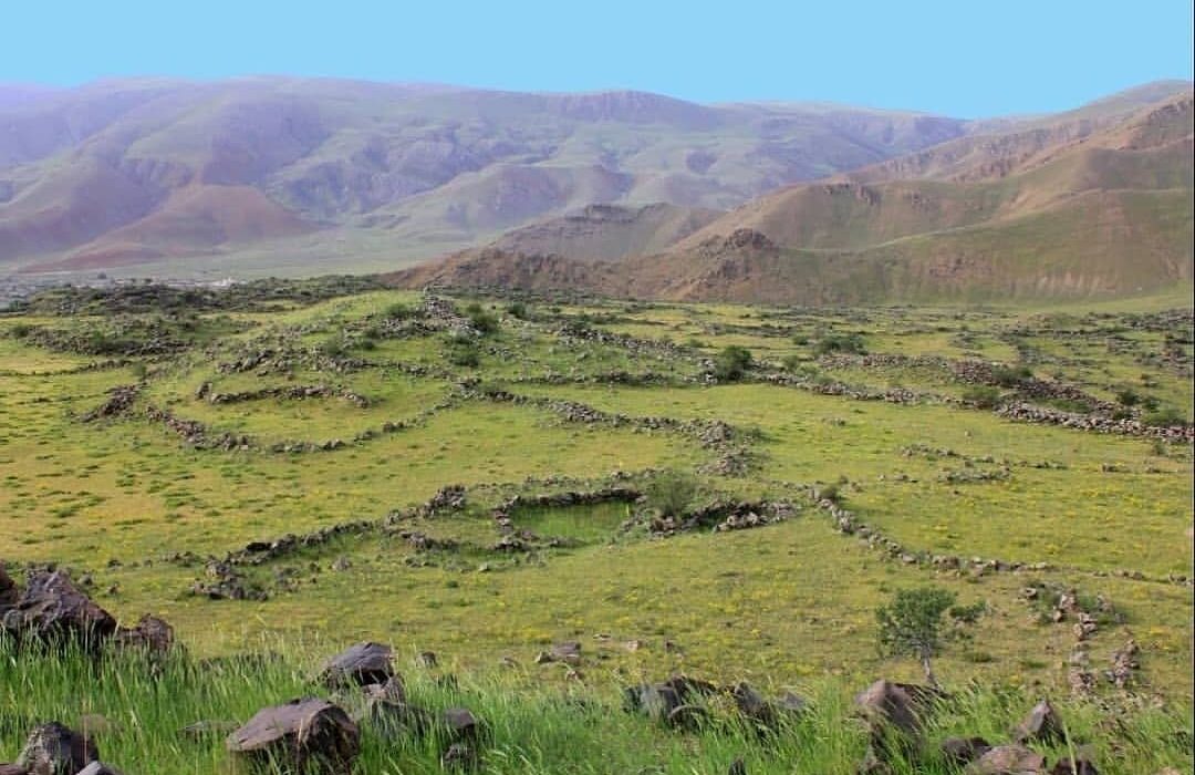 گیاهان خوراکی خودرو؛ داروخانه‌ای در دل کوهستان