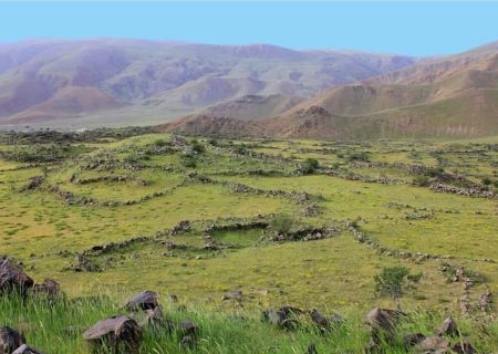 گیاهان خوراکی خودرو؛ داروخانه‌ای در دل کوهستان