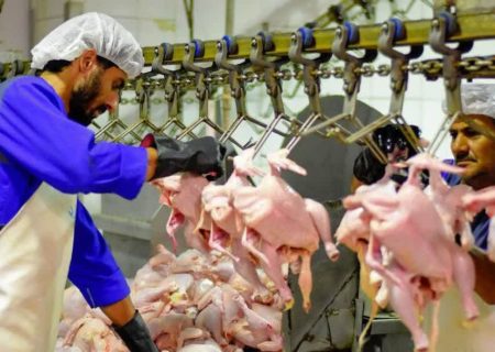 بهره‌برداری از بزرگ‌ترین مرغ‌داری شمال‌غرب کشور
