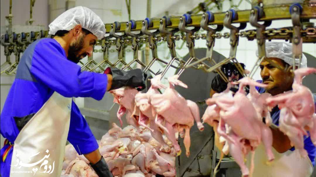 بهره‌برداری از بزرگ‌ترین مرغ‌داری شمال‌غرب