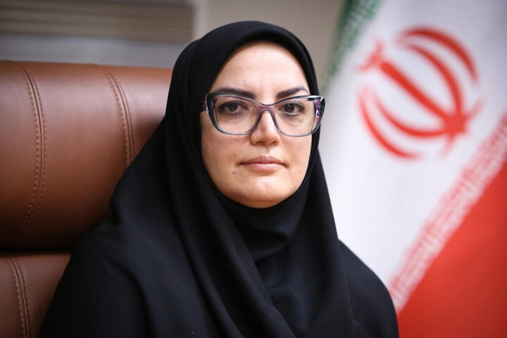 بازتاب جنگ رمضان در کتابخانه‌ها