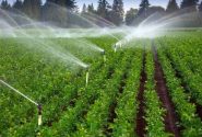 آبیاری هوشمند؛ راهی نو برای کشاورزی پایدار