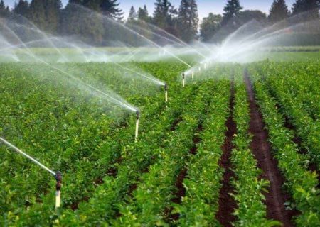 آبیاری هوشمند؛ راهی نو برای کشاورزی پایدار
