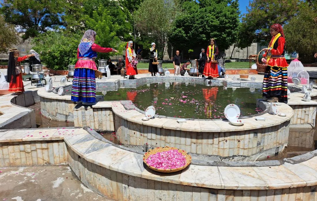 جشنواره گلابگیری در پلدشت