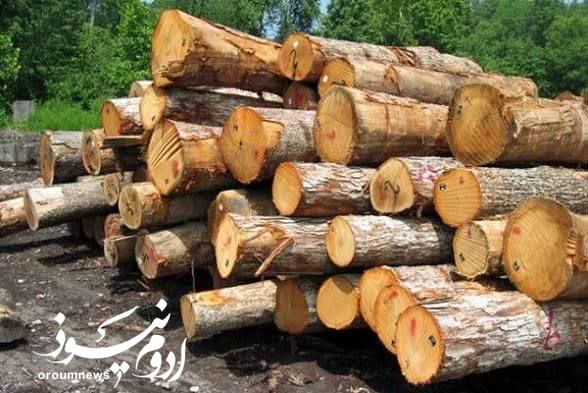 توقیف یک تن الوار قاچاق در ارومیه