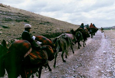 بهسازی ۳۷ کیلومتر از ایل‌راه‌های عشایری ماکو