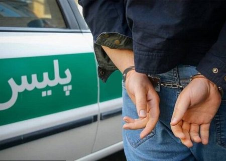 کاهش ۲۰ درصدی سرقت در اشنویه