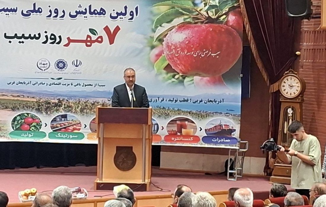 تولید سیب آذربایجان‌غربی ۲۵ درصد افزایش دارد