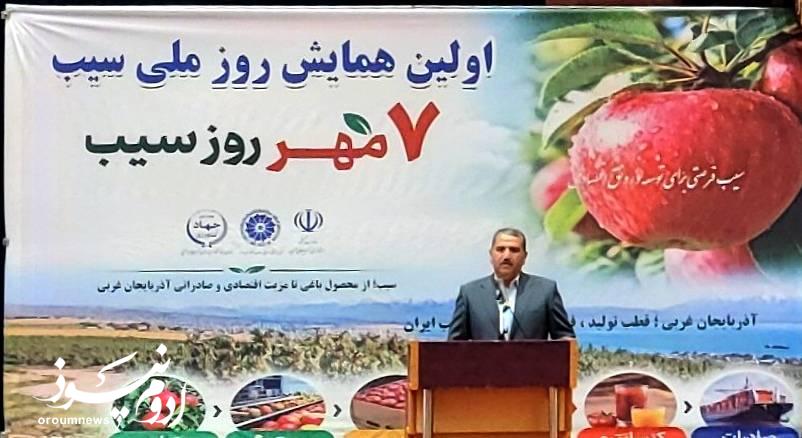 صادرات سیب آذربایجان‌غربی زیر فشار تعهدات ارزی