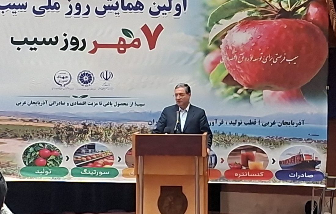 صادرات سیب ارومیه نیازمند هم‌افزایی و برندسازی است