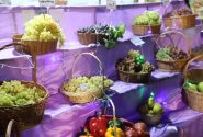 جشنواره انگور؛ قاب‌هایی از شور و رنگ
