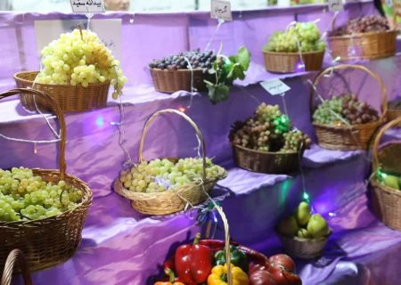 جشنواره انگور؛ قاب‌هایی از شور و رنگ