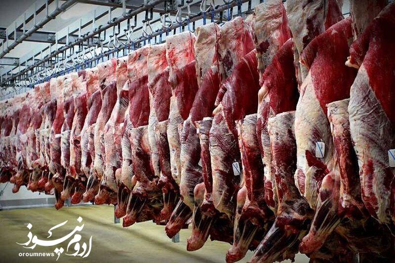 تولید گوشت در جنگ هم متوقف نشد
