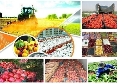 آذربایجان‌غربی در خط مقدم قرنطینه گیاهی کشور است