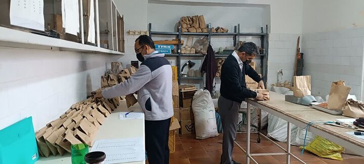 کشت ژنوتیپ گندم و جو در میاندوآب