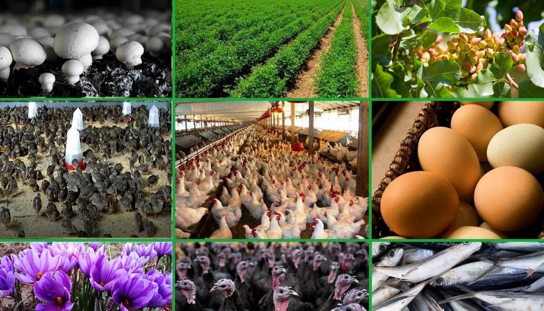 فاصله اعتبارات بانکی تا نیاز متقاضیان مشاغل خانگی