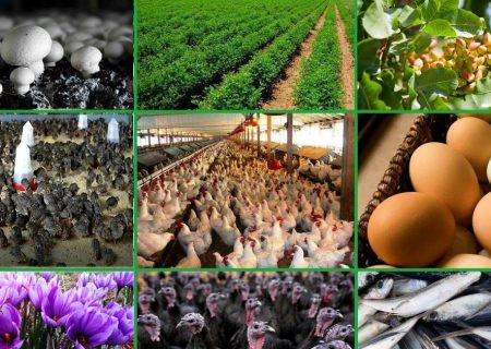 فاصله اعتبارات بانکی تا نیاز متقاضیان مشاغل خانگی