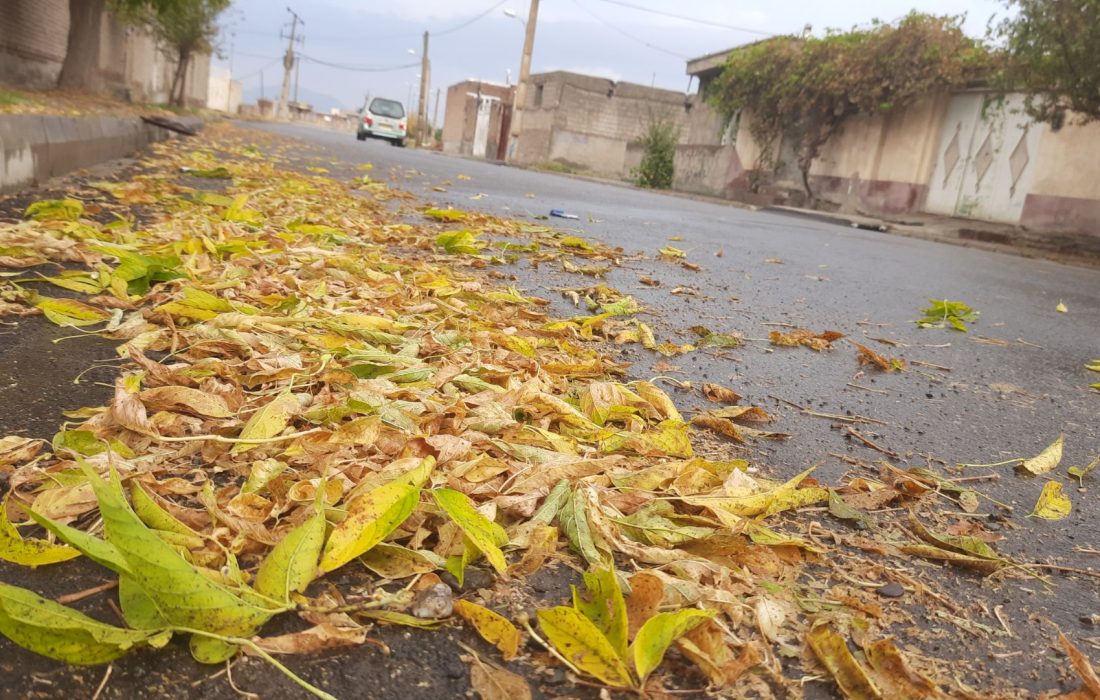 پاییز هزاررنگ نقده