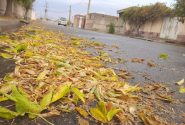 زیبایی‌های پاییزی نقده