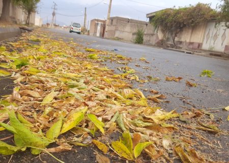 پاییز هزاررنگ نقده