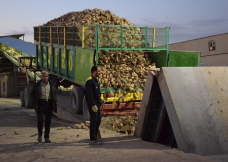 عیار پایین چغندرقند در دست بررسی کارشناسی است