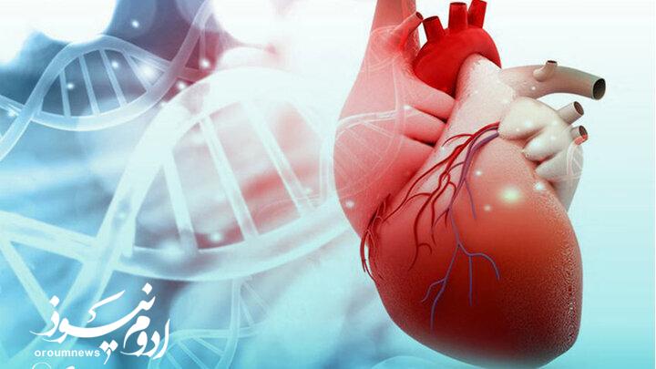 معرفی ۸ ماده خوراکی پاییزی مفید برای سلامت